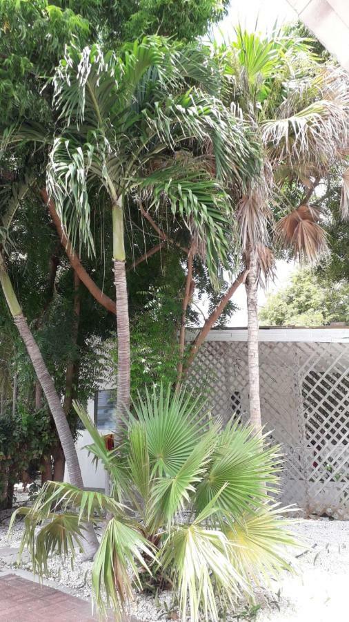 Palm Trees Apartments Вилемстад Екстериор снимка